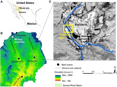 Mites as a Potential Path for Ce-Ti Exposure of Amphibians